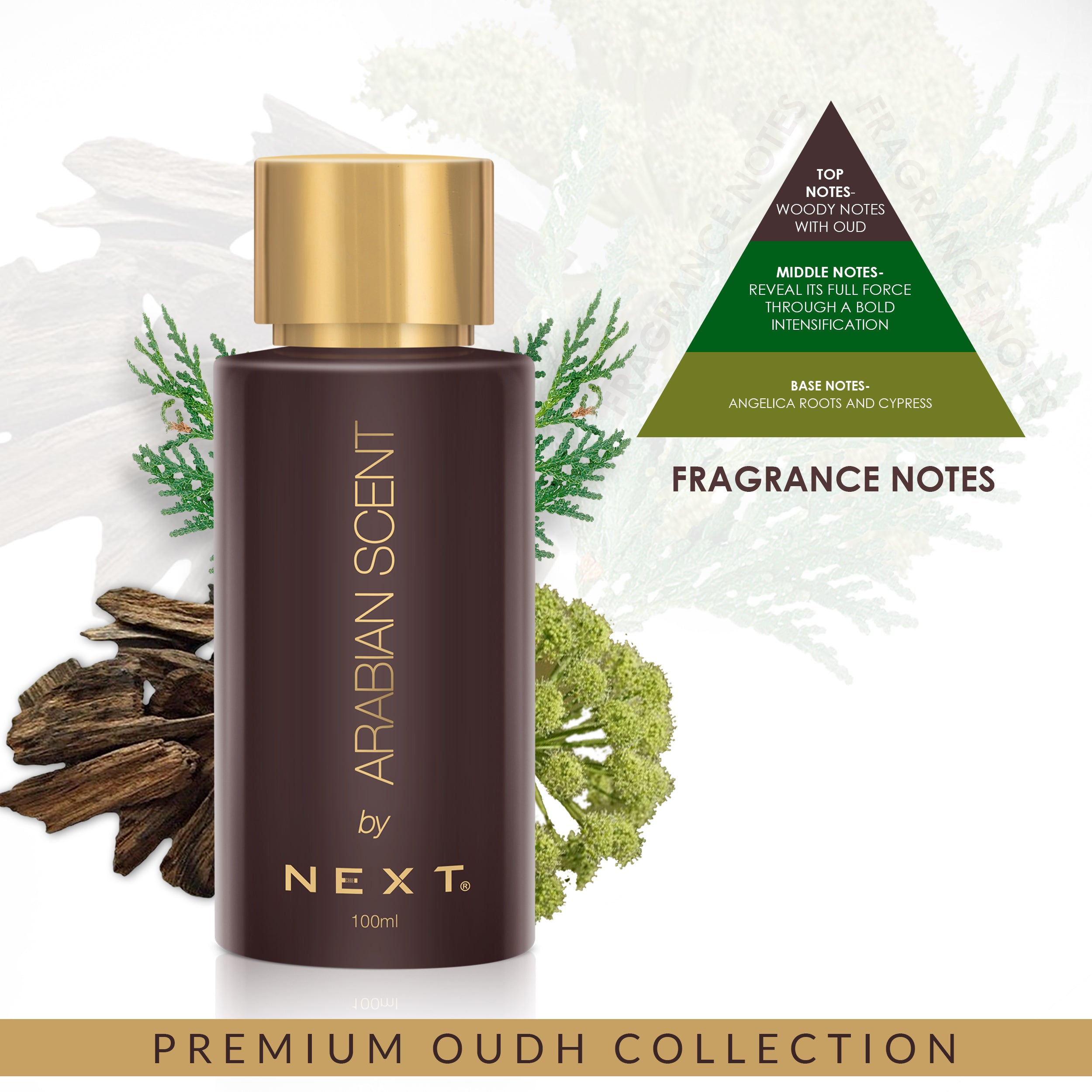 NEXT Arabian Scent Oud Perfume 100ml NEXT CARE INC